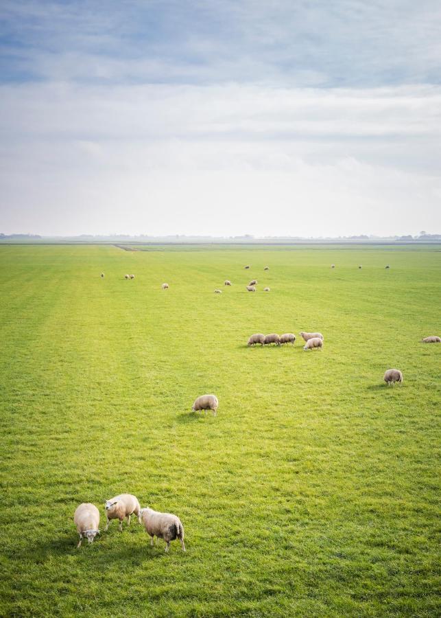 Houwerzijl Ollediek מראה חיצוני תמונה
